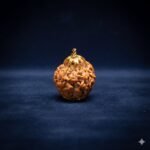 whatsapp image 2026 02 03 at 13.37.19 (1)