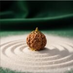 whatsapp image 2026 02 03 at 13.37.19